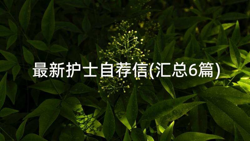 最新护士自荐信(汇总6篇)