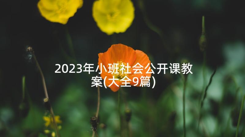 2023年小班社会公开课教案(大全9篇)