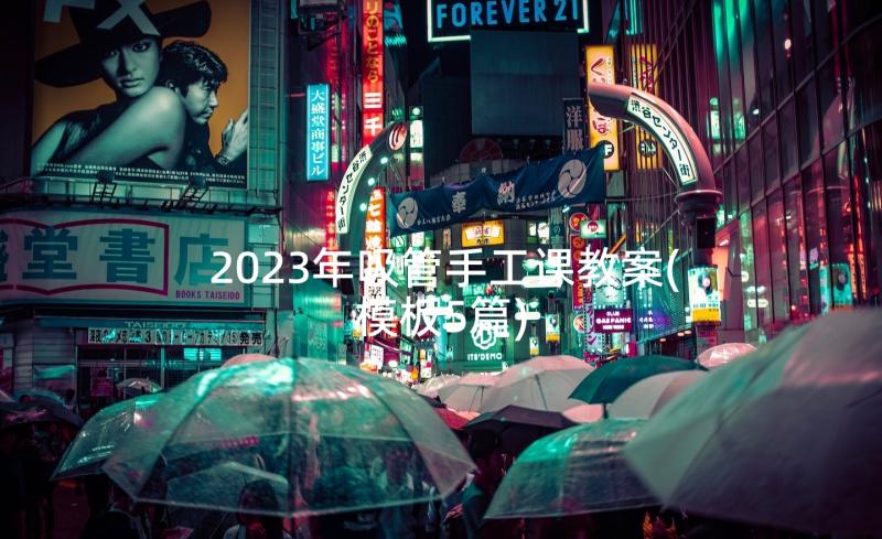 2023年吸管手工课教案(模板5篇)