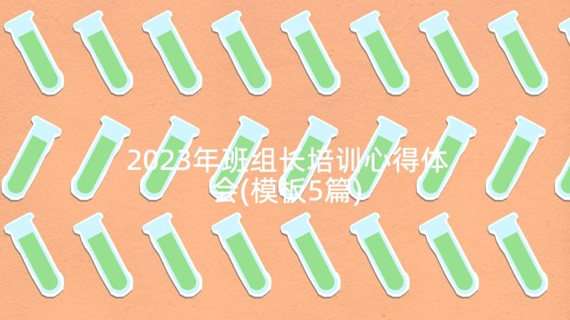 2023年班组长培训心得体会(模板5篇)