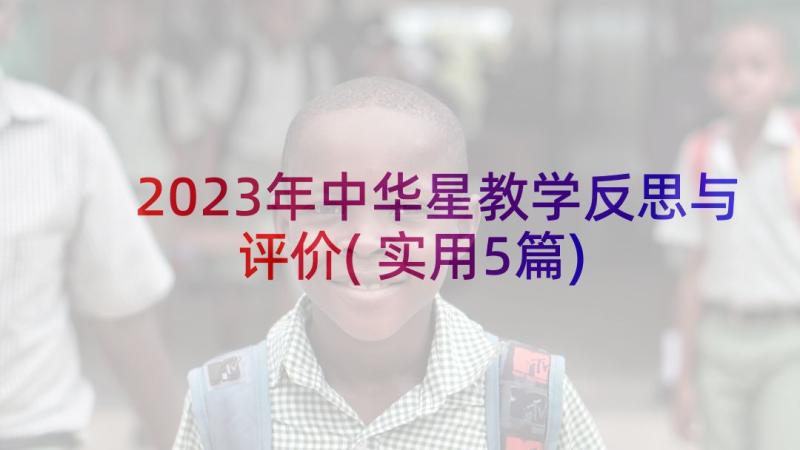 2023年中华星教学反思与评价(实用5篇)