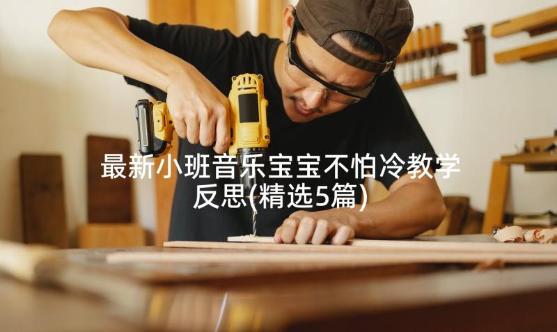 最新小班音乐宝宝不怕冷教学反思(精选5篇)