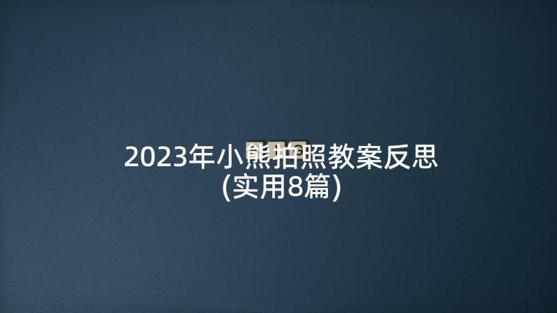 2023年小熊拍照教案反思(实用8篇)