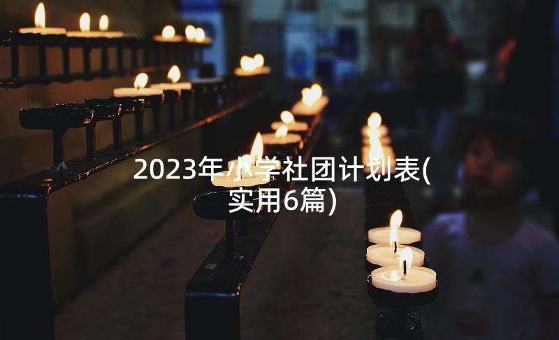 2023年小学社团计划表(实用6篇)