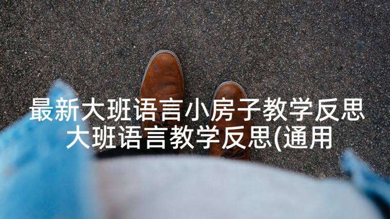 最新大班语言小房子教学反思 大班语言教学反思(通用10篇)