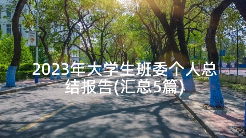 2023年大学生班委个人总结报告(汇总5篇)