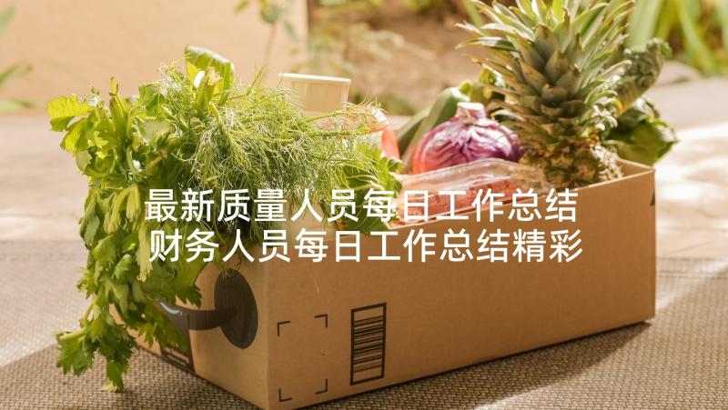 最新质量人员每日工作总结 财务人员每日工作总结精彩(实用5篇)