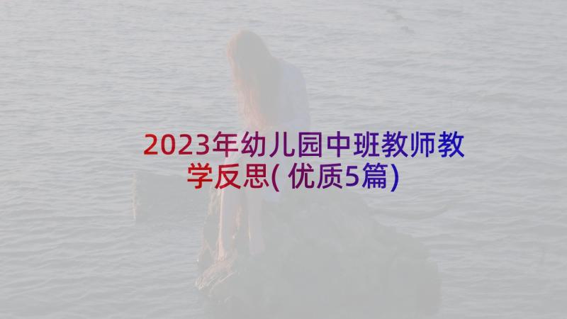 2023年幼儿园中班教师教学反思(优质5篇)