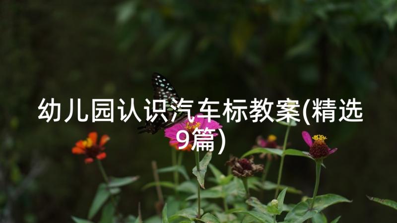 幼儿园认识汽车标教案(精选9篇)