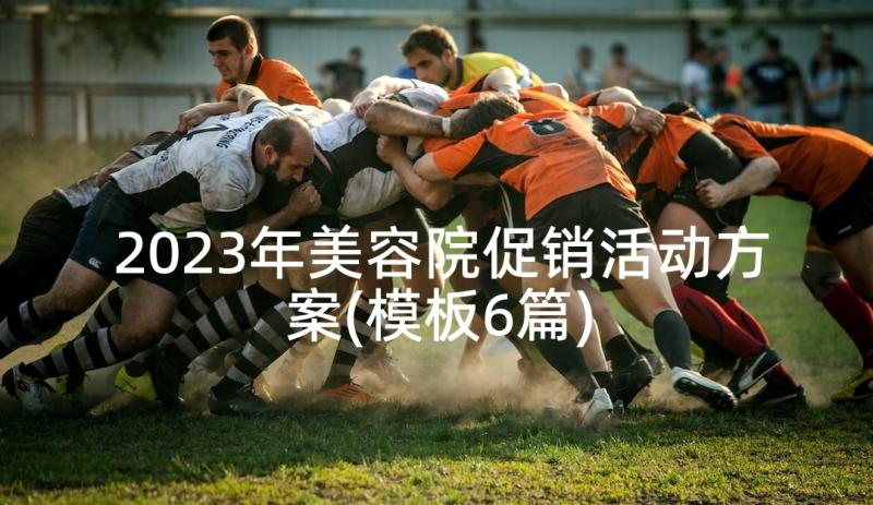 2023年美容院促销活动方案(模板6篇)