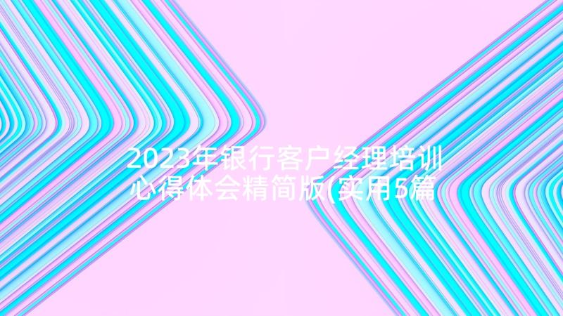 2023年银行客户经理培训心得体会精简版(实用5篇)