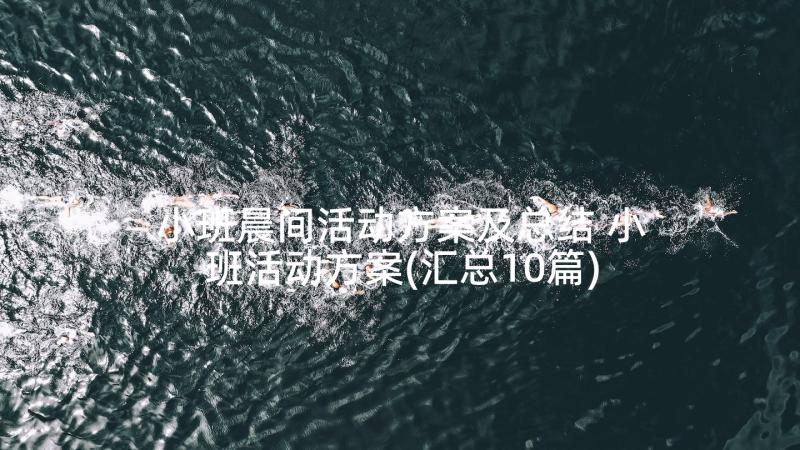 小班晨间活动方案及总结 小班活动方案(汇总10篇)