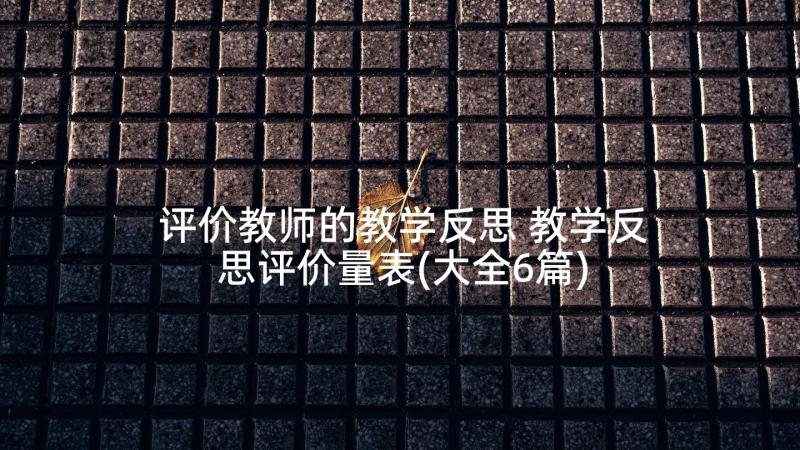 评价教师的教学反思 教学反思评价量表(大全6篇)