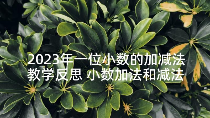 2023年一位小数的加减法教学反思 小数加法和减法的教学反思(汇总5篇)