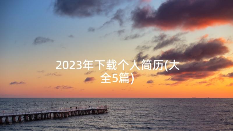 2023年下载个人简历(大全5篇)