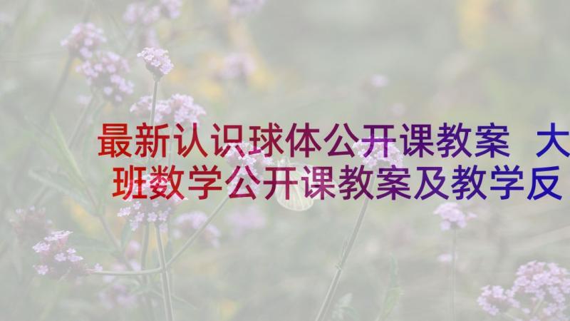 最新认识球体公开课教案 大班数学公开课教案及教学反思认识球体(汇总10篇)