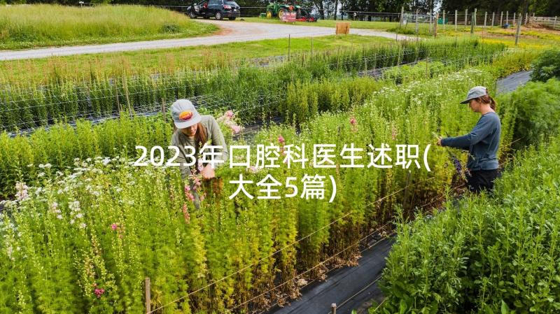 2023年口腔科医生述职(大全5篇)