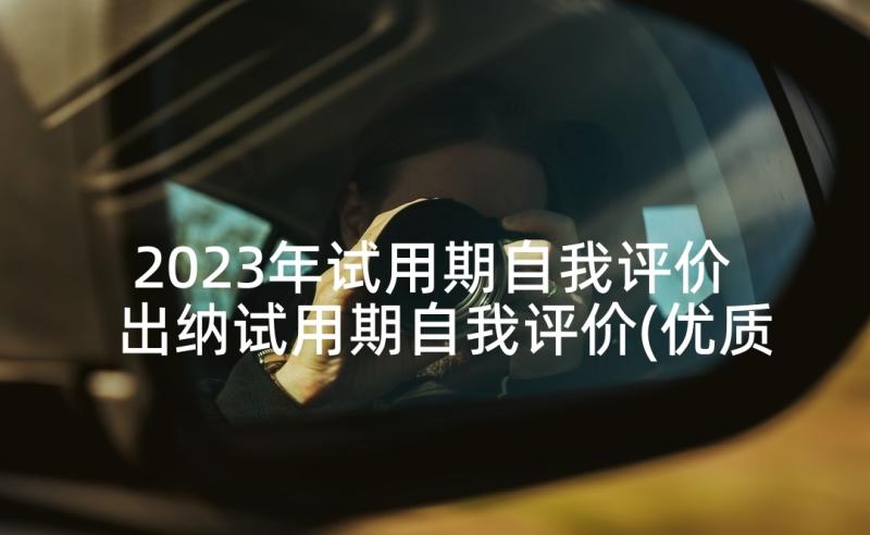 2023年试用期自我评价 出纳试用期自我评价(优质8篇)