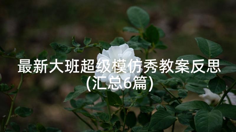 最新大班超级模仿秀教案反思(汇总6篇)