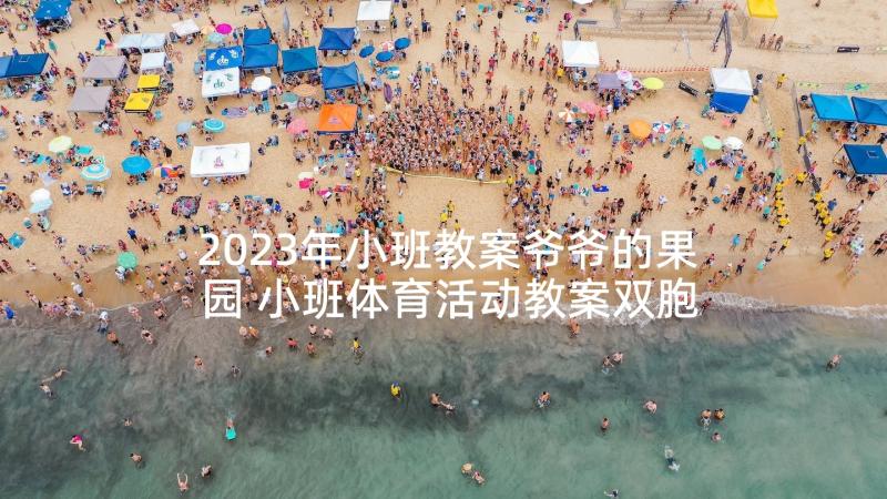 2023年小班教案爷爷的果园 小班体育活动教案双胞胎(实用8篇)