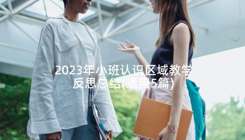 2023年小班认识区域教学反思总结(通用5篇)