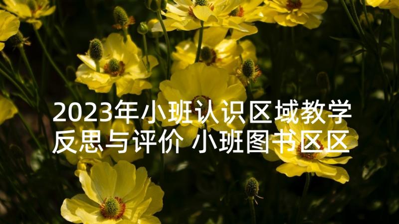 2023年小班认识区域教学反思与评价 小班图书区区域的教学反思(汇总5篇)