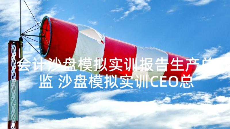 会计沙盘模拟实训报告生产总监 沙盘模拟实训CEO总裁报告(通用6篇)