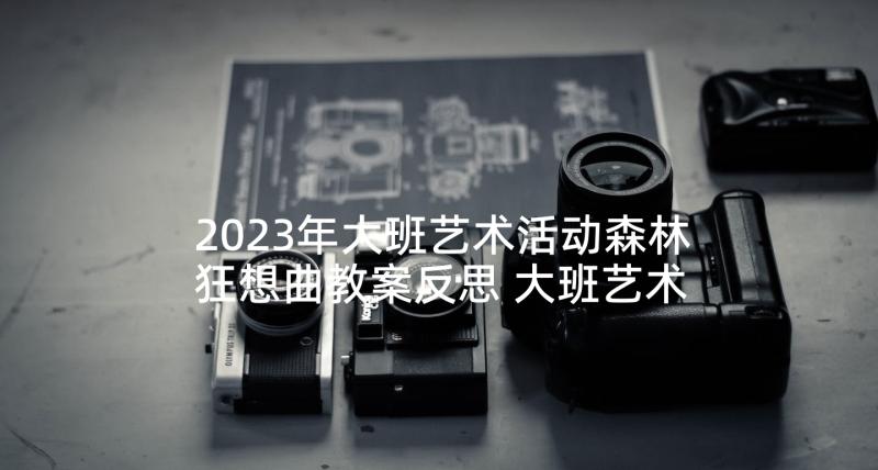 2023年大班艺术活动森林狂想曲教案反思 大班艺术活动教案(大全10篇)