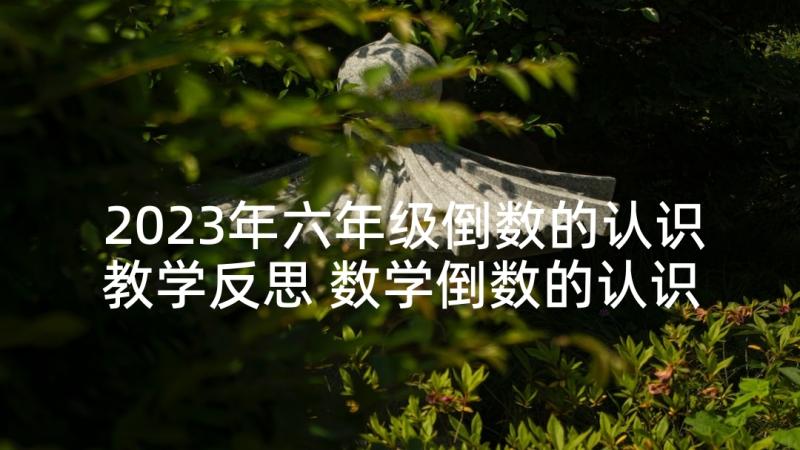 2023年六年级倒数的认识教学反思 数学倒数的认识教学反思(汇总9篇)