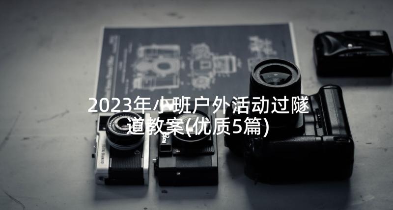 2023年小班户外活动过隧道教案(优质5篇)