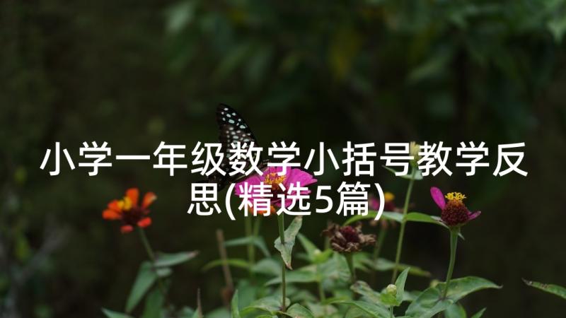 小学一年级数学小括号教学反思(精选5篇)