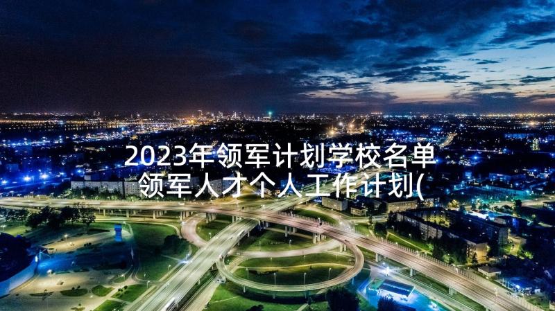 2023年领军计划学校名单 领军人才个人工作计划(大全5篇)