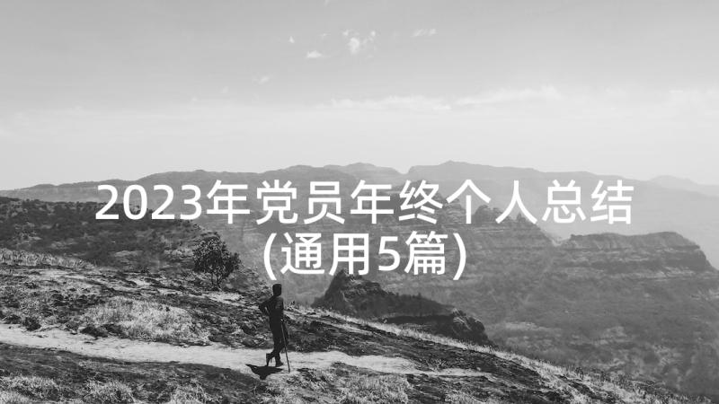 2023年党员年终个人总结(通用5篇)