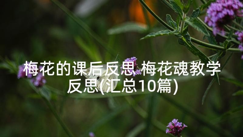 梅花的课后反思 梅花魂教学反思(汇总10篇)