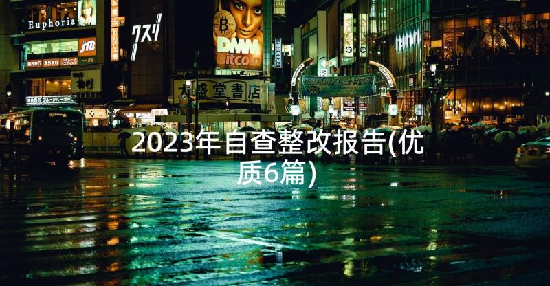 2023年自查整改报告(优质6篇)