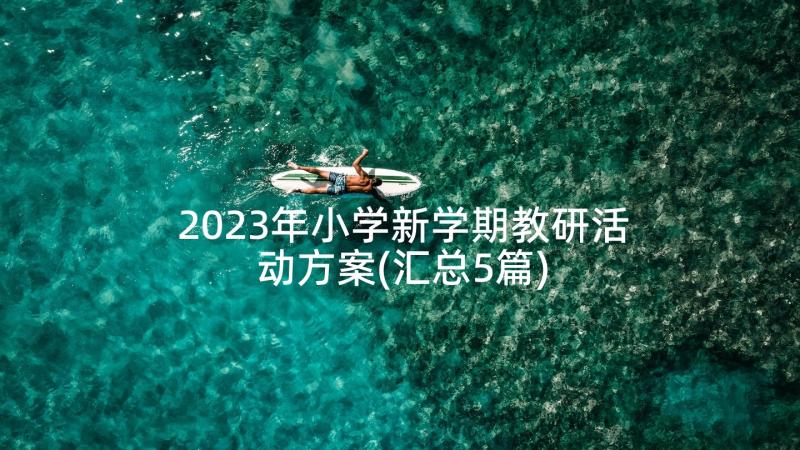 2023年小学新学期教研活动方案(汇总5篇)