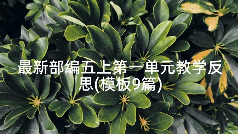 最新部编五上第一单元教学反思(模板9篇)