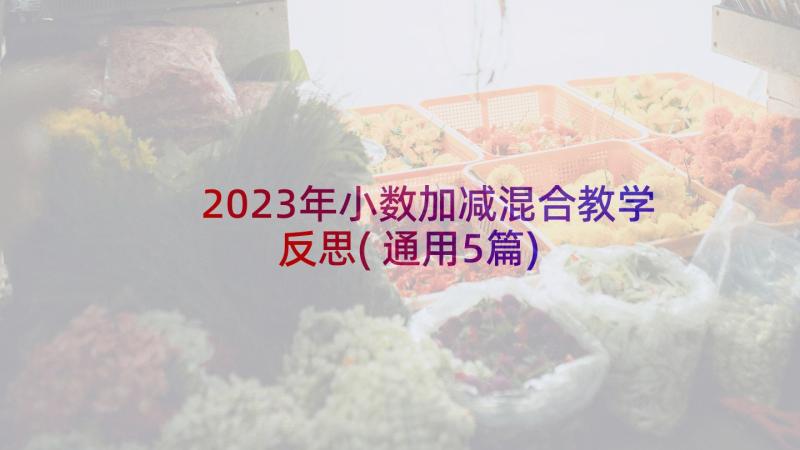 2023年小数加减混合教学反思(通用5篇)