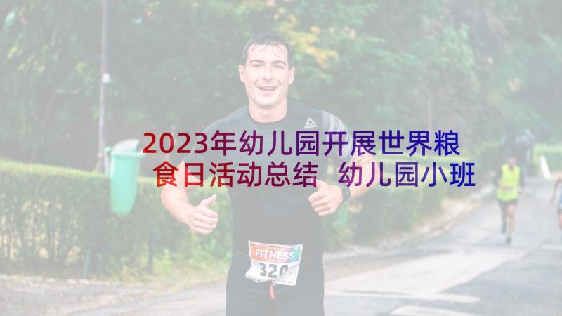 2023年幼儿园开展世界粮食日活动总结 幼儿园小班手工活动方案幼儿园活动(精选9篇)