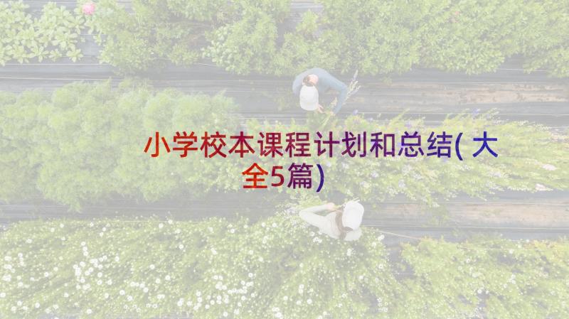 小学校本课程计划和总结(大全5篇)