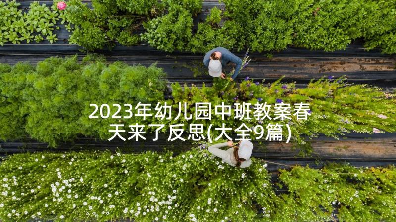 2023年幼儿园中班教案春天来了反思(大全9篇)