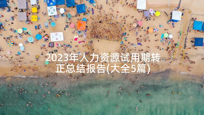 2023年人力资源试用期转正总结报告(大全5篇)