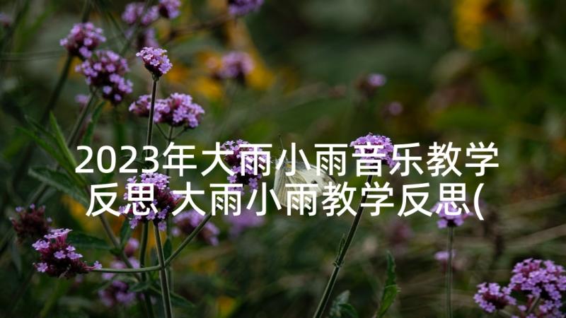 2023年大雨小雨音乐教学反思 大雨小雨教学反思(精选5篇)