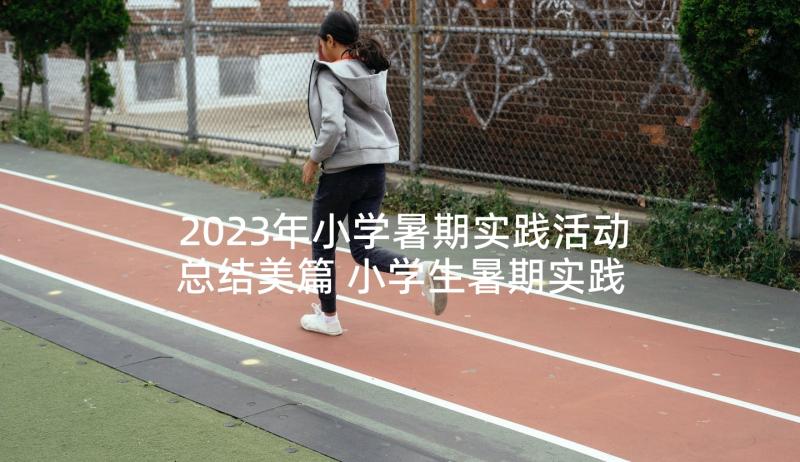 2023年小学暑期实践活动总结美篇 小学生暑期实践活动总结(精选9篇)