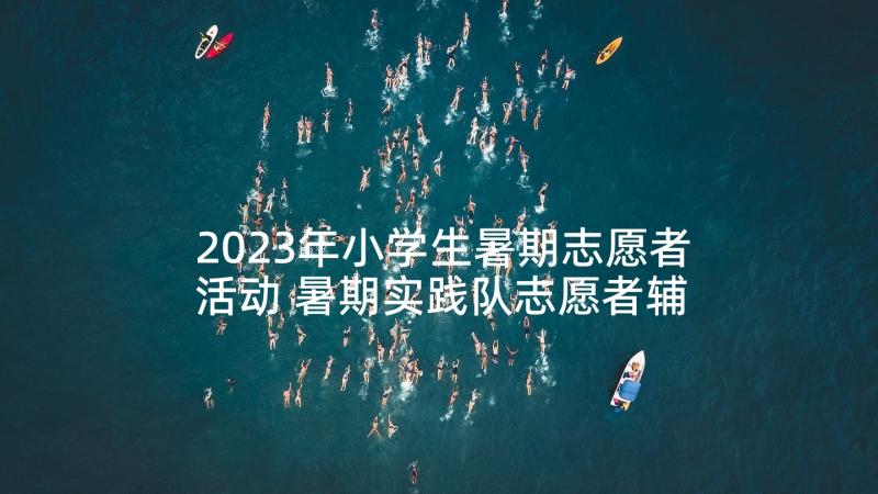 2023年小学生暑期志愿者活动 暑期实践队志愿者辅导小学生活动总结(大全5篇)