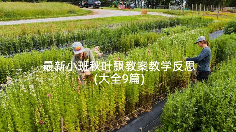 最新小班秋叶飘教案教学反思(大全9篇)