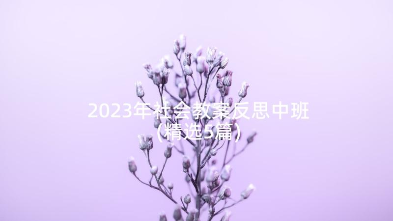 2023年社会教案反思中班(精选5篇)