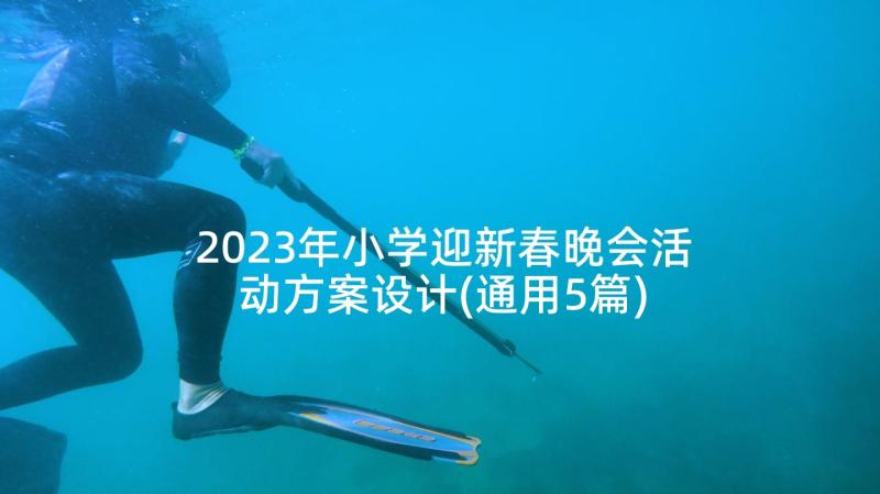 2023年小学迎新春晚会活动方案设计(通用5篇)