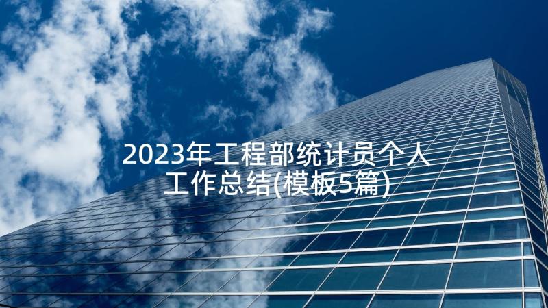 2023年工程部统计员个人工作总结(模板5篇)