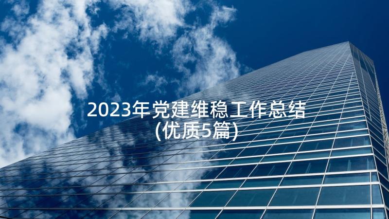 2023年党建维稳工作总结(优质5篇)